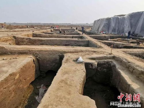 震撼 山东发现连片古墓156座 从北辛文化 商周 一直到汉代都有